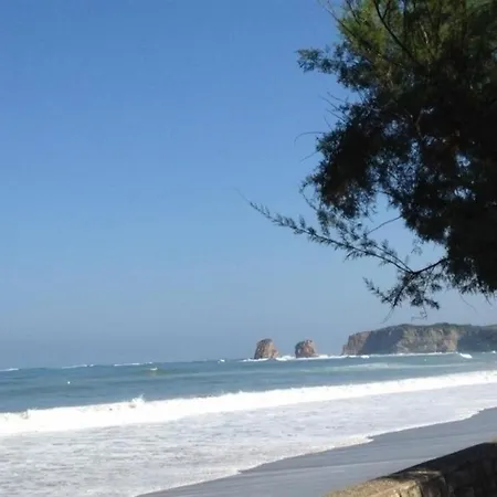 Begonia 2 - * Hendaye